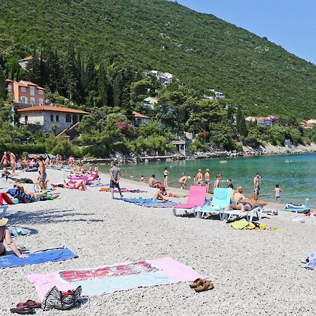 Apartments And Rooms With Parking Space Trpanj, Peljesac - 250 Dış mekan fotoğraf