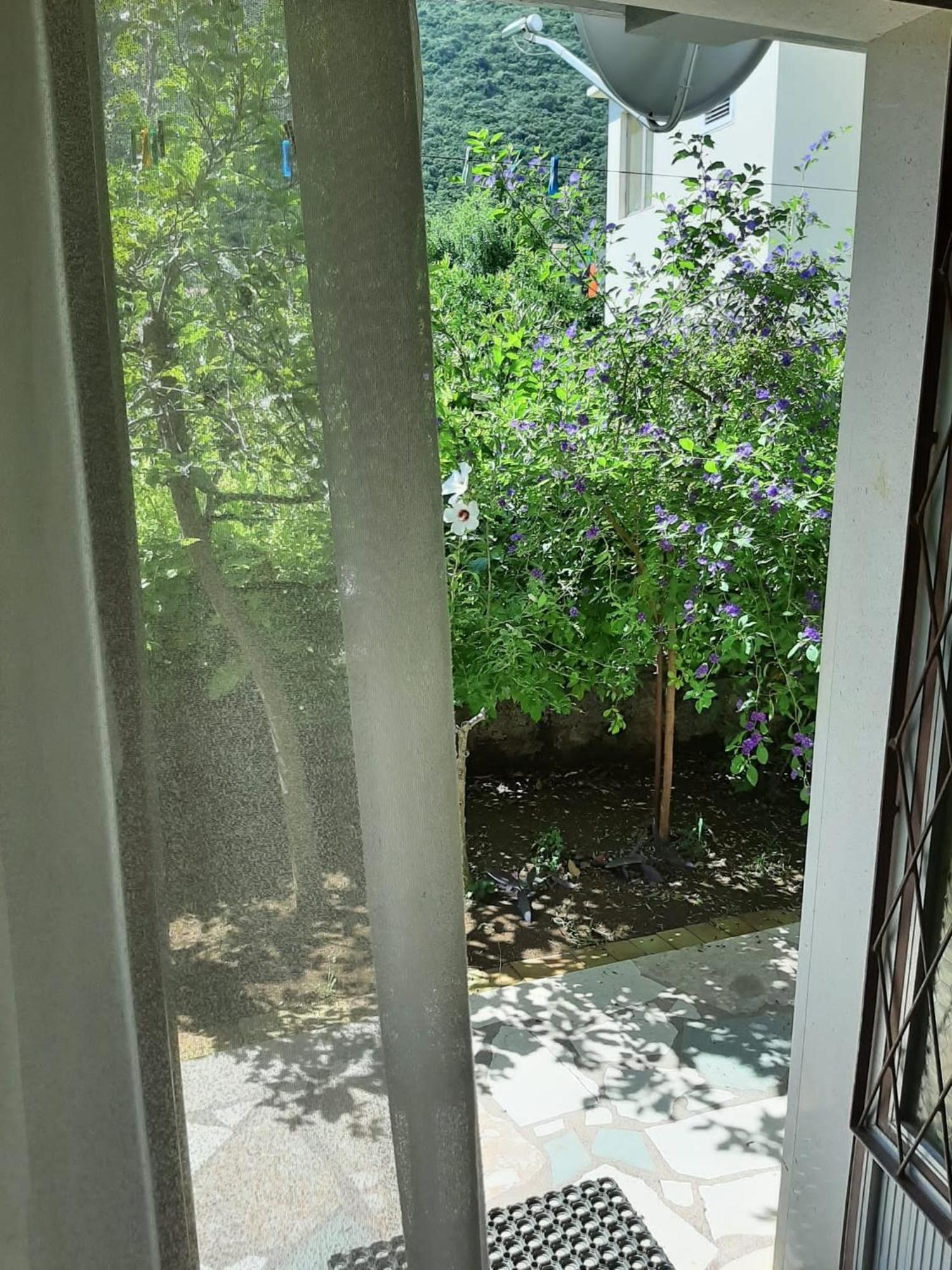Apartments And Rooms With Parking Space Trpanj, Peljesac - 250 Oda fotoğraf
